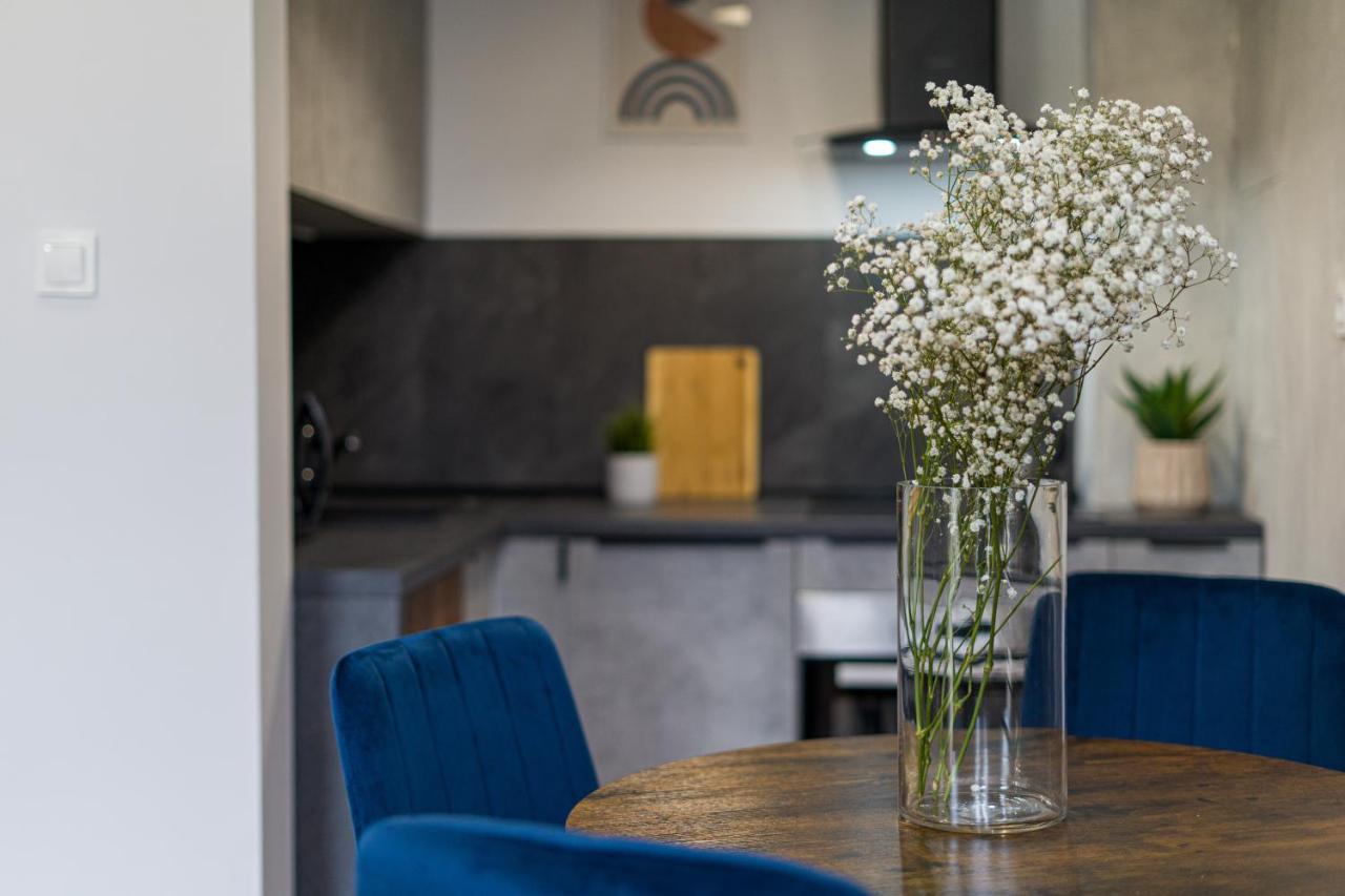 Apartment Citystay Polonia Klimatyzowany Przy Parku Lodz (Lodz)